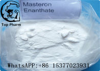 기업 표준 Primobolan Methenolone enanthate 303-42-4 C27H42O3 CAS 303-42-4