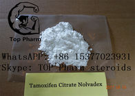 CAS 54965-24-1 남성 증진 스테로이드 Tamoxifen 구연산염 Tamofen Nolva