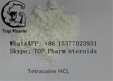 99% 순수성 Tetracaine 염산염/Tetracaine HCL/Butethanol/Butylocaine 국부적으로 마취약 CAS 136-47-0
