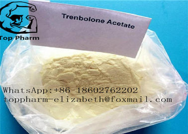 Trenbolone 아세테이트 Tren 에이스 Trenbolone 스테로이드 분말 CAS 10161-34-9 호르몬 약